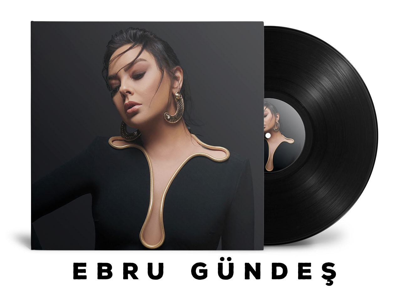 Ebru Gündeş Plakları