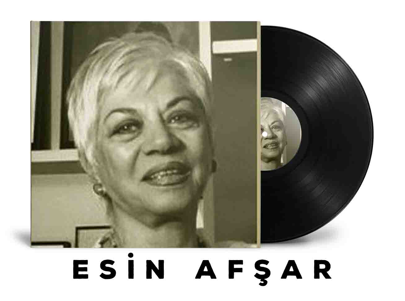 Esin Afşar Plakları